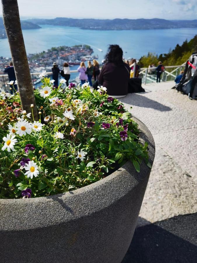 Feels Like Home -Free Parking -Attractive Location ベルゲン エクステリア 写真